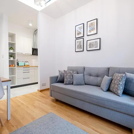 アパート Old Town Zamkowa Vis A Vis Wawelu クラクフ